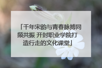 千年宋韵与青春脉搏同频共振 开封职业学院打造行走的文化课堂