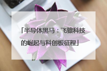半导体黑马：飞骧科技的崛起与科创板征程