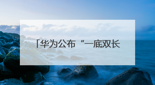 华为公布“一底双长焦”专利，将首发于Pura 80系列