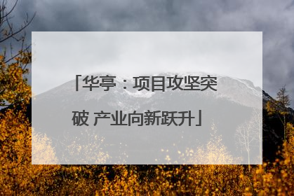 华亭：项目攻坚突破 产业向新跃升