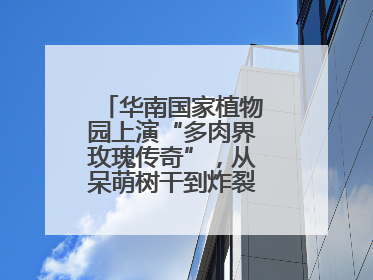 华南国家植物园上演“多肉界玫瑰传奇”，从呆萌树干到炸裂种子全是戏！