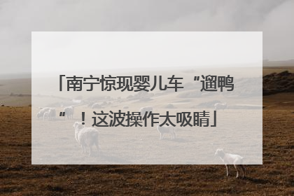 南宁惊现婴儿车“遛鸭”！这波操作太吸睛