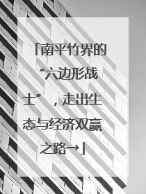南平竹界的 “六边形战士”，走出生态与经济双赢之路→