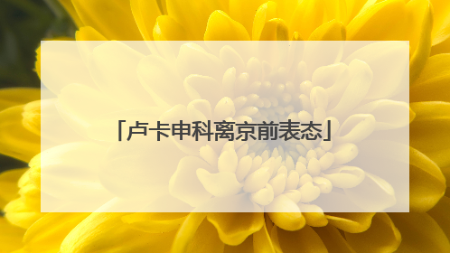 卢卡申科离京前表态
