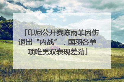 印尼公开赛陈雨菲因伤退出“内战”，国羽各单项唯男双表现差劲