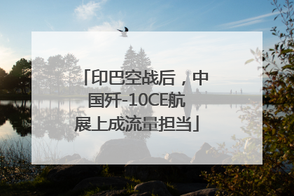 印巴空战后，中国歼-10CE航展上成流量担当