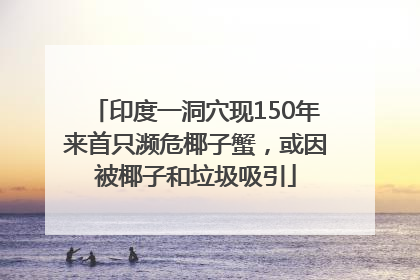 印度一洞穴现150年来首只濒危椰子蟹，或因被椰子和垃圾吸引