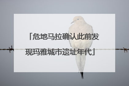危地马拉确认此前发现玛雅城市遗址年代