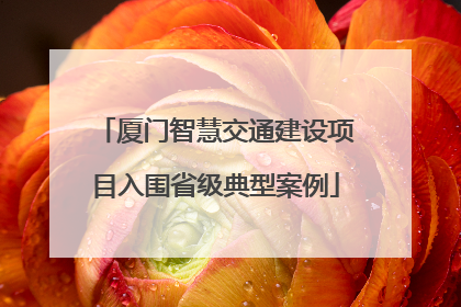 厦门智慧交通建设项目入围省级典型案例