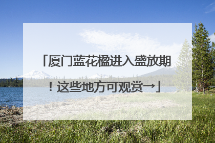 厦门蓝花楹进入盛放期！这些地方可观赏→