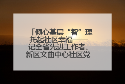 倾心基层“智”理 托起社区幸福——记全省先进工作者、新区文曲中心社区党委书记董世弘