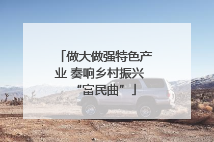 做大做强特色产业 奏响乡村振兴“富民曲”