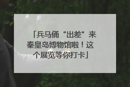 兵马俑“出差”来秦皇岛博物馆啦！这个展览等你打卡