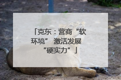 克东：营商“软环境” 激活发展“硬实力”