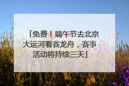 免费！端午节去北京大运河看赛龙舟，赛事活动将持续三天
