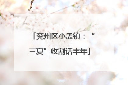 兖州区小孟镇：“三夏”收割话丰年