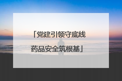党建引领守底线 药品安全筑根基