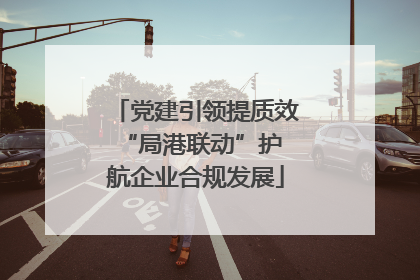 党建引领提质效 “局港联动”护航企业合规发展