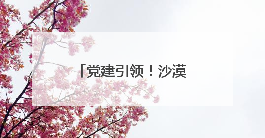 党建引领！沙漠边缘崛起超百个亿元产值连队