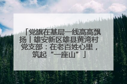 党旗在基层一线高高飘扬丨雄安新区雄县黄湾村党支部：在老百姓心里，筑起“一座山”