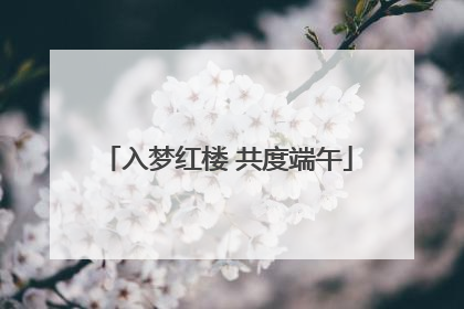 入梦红楼 共度端午