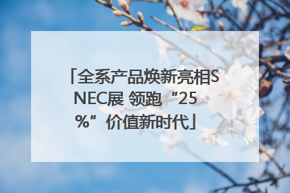 全系产品焕新亮相SNEC展 领跑“25%”价值新时代
