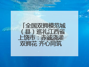 全国双拥模范城（县）巡礼江西省上饶市：赤诚浇灌双拥花 齐心同筑模范城