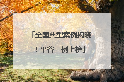 全国典型案例揭晓！平谷一例上榜