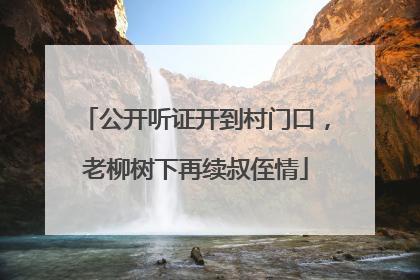公开听证开到村门口，老柳树下再续叔侄情