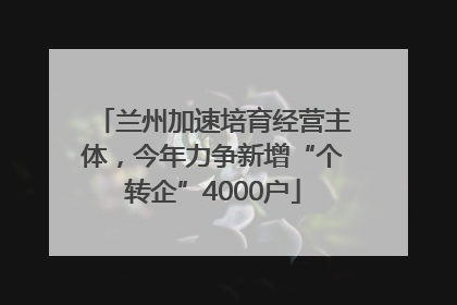 兰州加速培育经营主体，今年力争新增“个转企”4000户