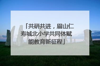 共研共进，眉山仁寿城北小学共同体赋能教育新征程