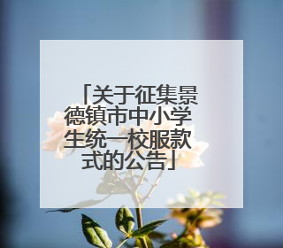 关于征集景德镇市中小学生统一校服款式的公告