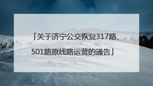 关于济宁公交恢复317路、501路原线路运营的通告