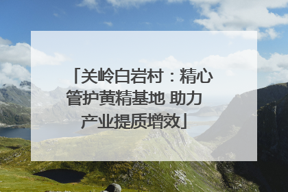 关岭白岩村：精心管护黄精基地 助力产业提质增效