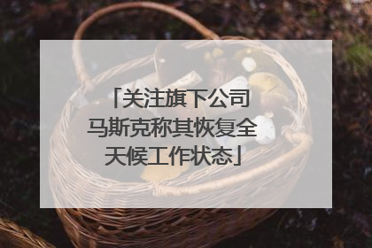 关注旗下公司 马斯克称其恢复全天候工作状态