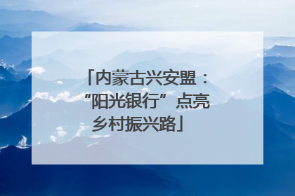 内蒙古兴安盟：“阳光银行”点亮乡村振兴路