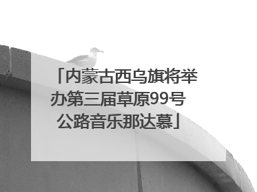 内蒙古西乌旗将举办第三届草原99号公路音乐那达慕