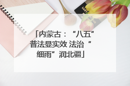 内蒙古：“八五”普法显实效 法治“细雨”润北疆