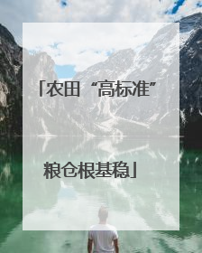 农田“高标准” 粮仓根基稳