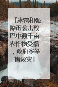 冰雹和强降雨袭击致巴中数千亩农作物受损，政府多举措救灾