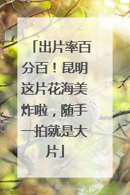 出片率百分百！昆明这片花海美炸啦，随手一拍就是大片