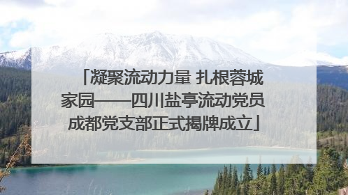 凝聚流动力量 扎根蓉城家园——四川盐亭流动党员成都党支部正式揭牌成立