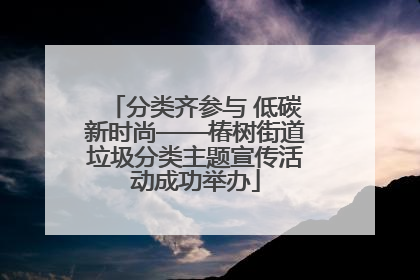 分类齐参与 低碳新时尚——椿树街道垃圾分类主题宣传活动成功举办
