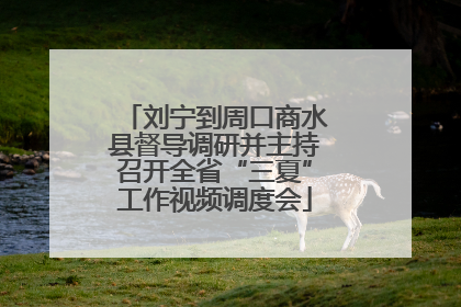 刘宁到周口商水县督导调研并主持召开全省“三夏”工作视频调度会