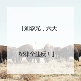 刘彩光，六大纪律全违反！