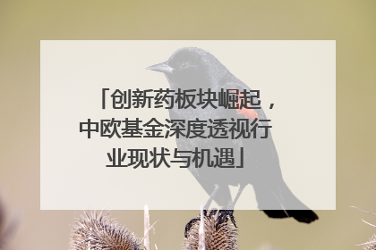 创新药板块崛起，中欧基金深度透视行业现状与机遇