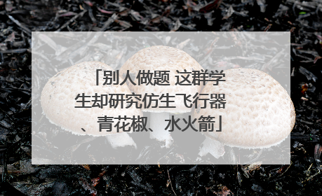 别人做题 这群学生却研究仿生飞行器、青花椒、水火箭