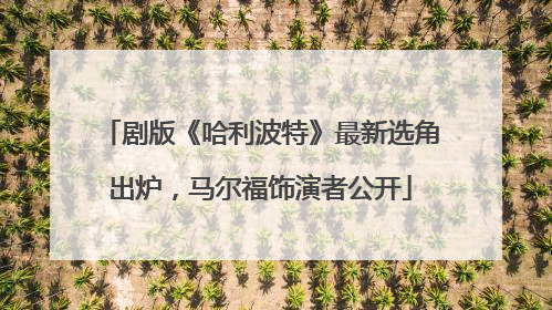 剧版《哈利波特》最新选角出炉，马尔福饰演者公开