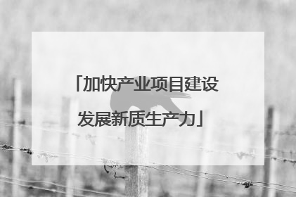加快产业项目建设 发展新质生产力
