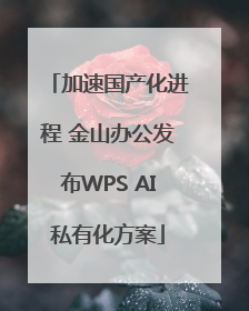 加速国产化进程 金山办公发布WPS AI私有化方案